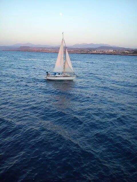athens voice readers, greece
