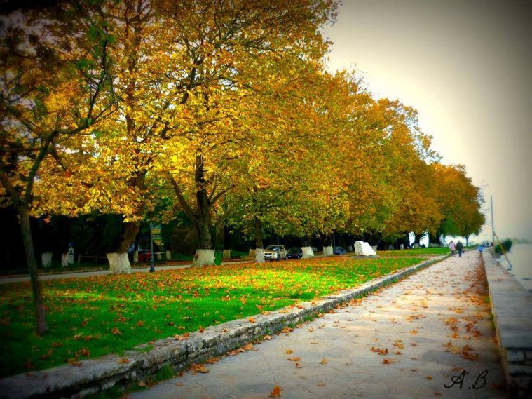 athens voice readers, greece