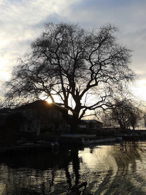 athens voice readers, greece