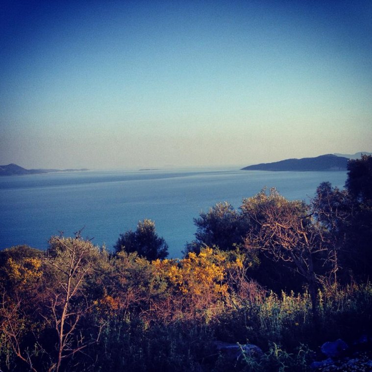 athens voice readers, greece