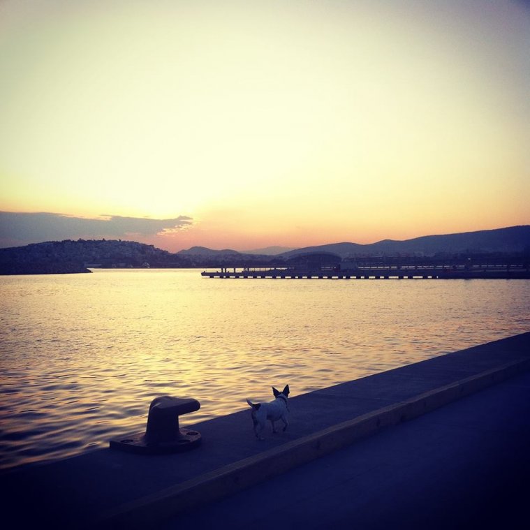 athens voice readers, greece