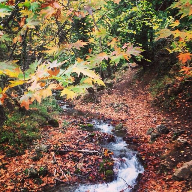 greece, athens voice greece, athens voice