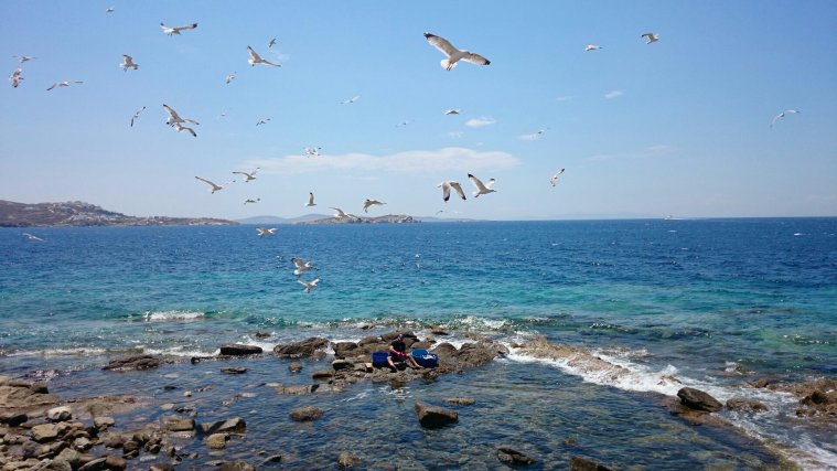 greece, athens voice greece, athens voice