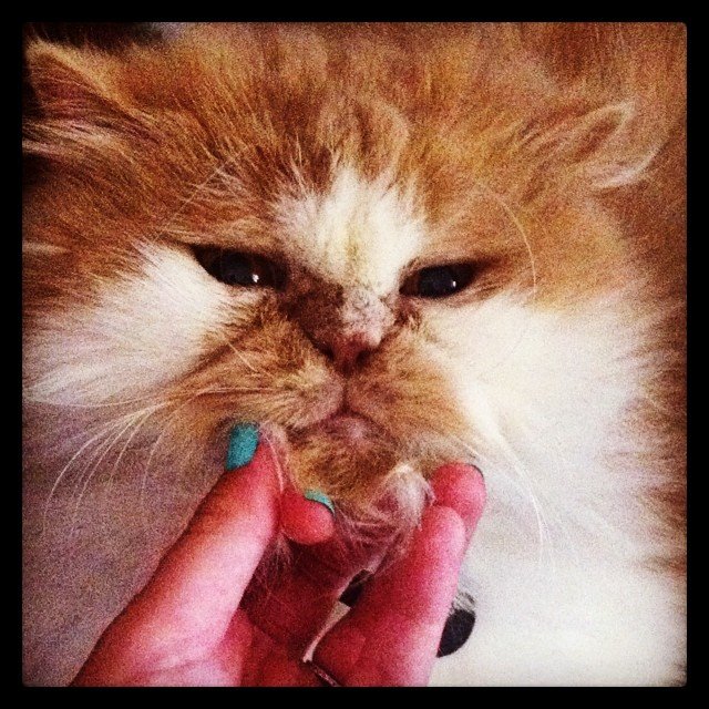 Insta#athensvoice 11.11.14 Insta#athensvoice 11.11.14