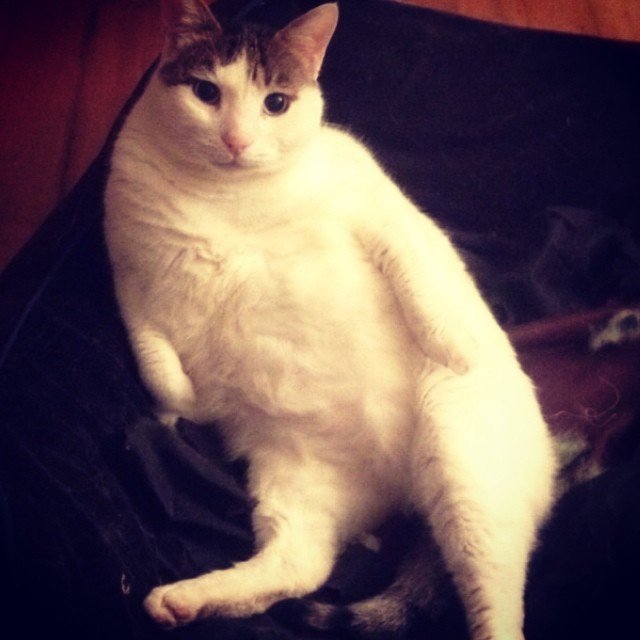 Insta#athensvoice 11.11.14 Insta#athensvoice 11.11.14