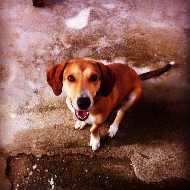 Insta#athensvoice 11.11.14 Insta#athensvoice 11.11.14