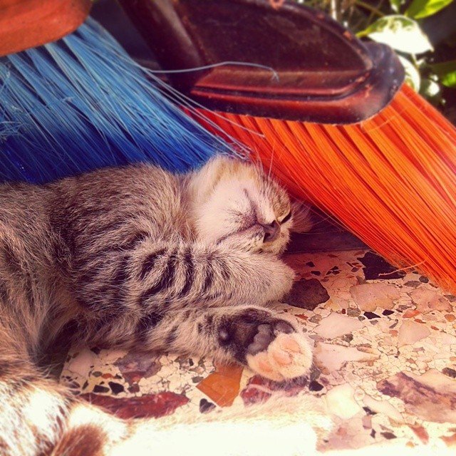 Insta#athensvoice 11.11.14 Insta#athensvoice 11.11.14