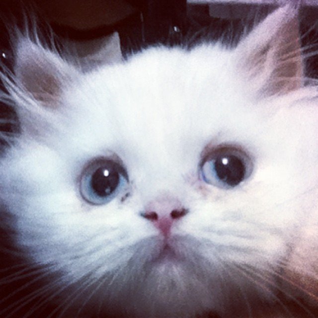 Insta#athensvoice 11.11.14 Insta#athensvoice 11.11.14