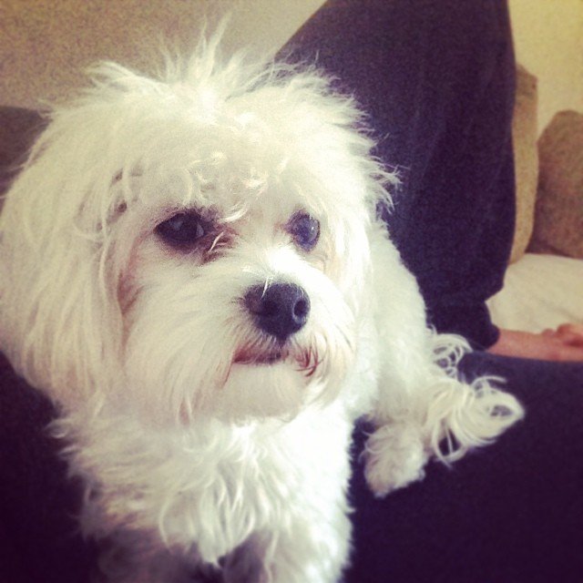 Insta#athensvoice 11.11.14 Insta#athensvoice 11.11.14