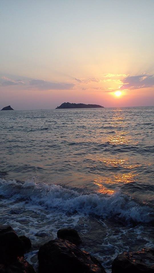 athens voice readers, greece