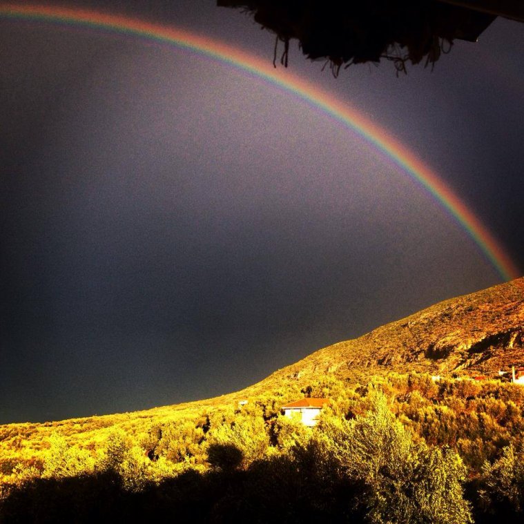 athens voice readers, greece
