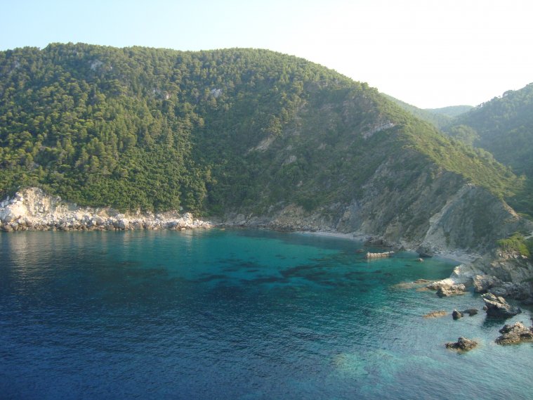 athens voice readers, greece