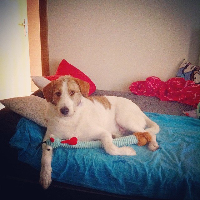 Insta#athensvoice 14.11.14