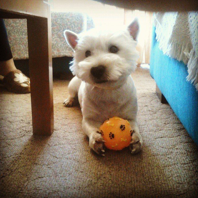 Insta#athensvoice 14.11.14