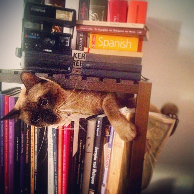 Insta#athensvoice 14.11.14