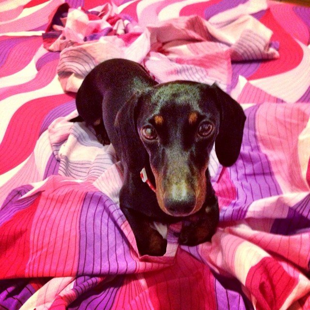 Insta#athensvoice 14.11.14