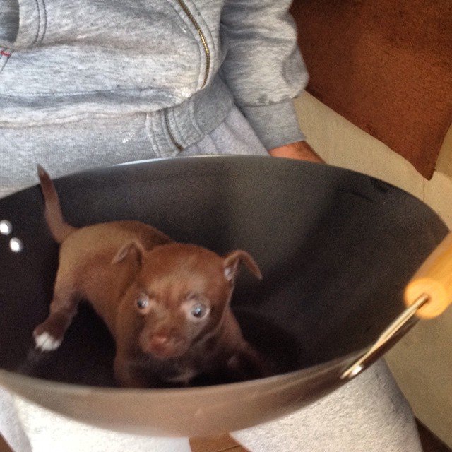 Insta#athensvoice 14.11.14