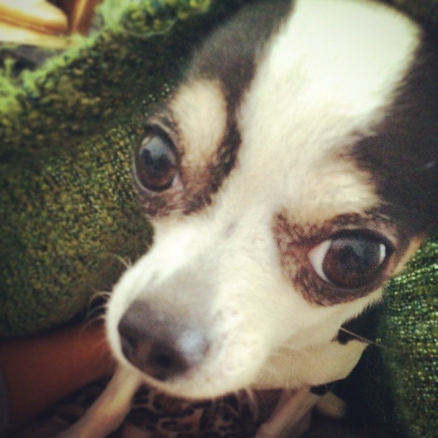 Insta#athensvoice 14.11.14