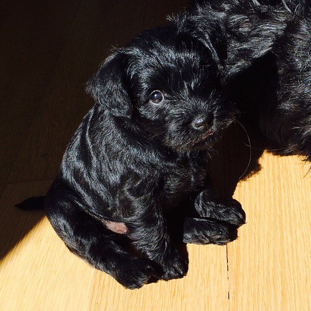 Insta#athensvoice 14.11.14