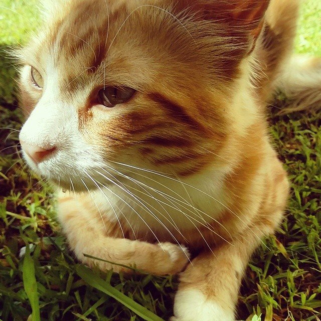 Insta#athensvoice 14.11.14