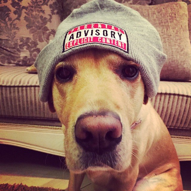 Insta#athensvoice 14.11.14