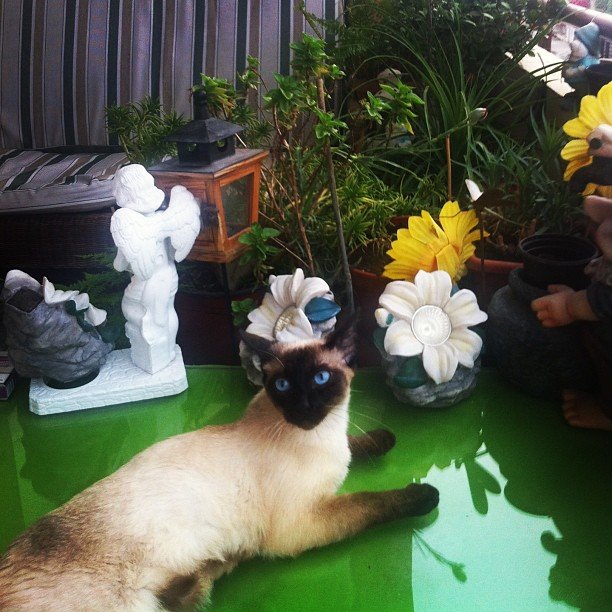 Insta#athensvoice 14.11.14