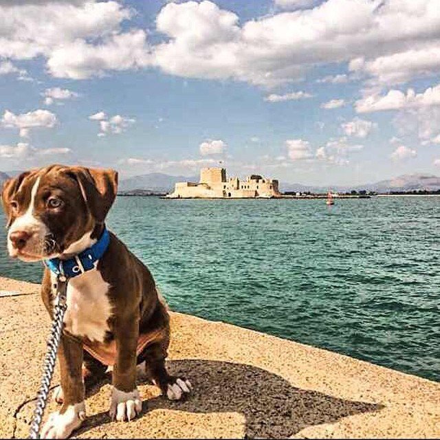 Insta#athensvoice 14.11.14