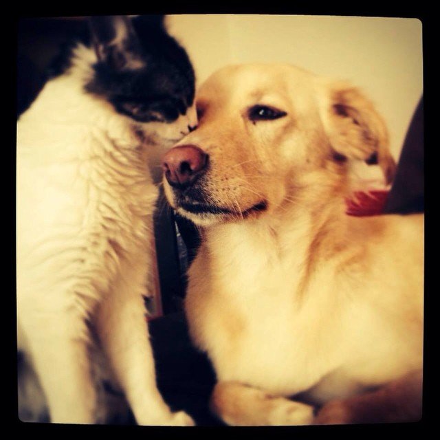 Insta#athensvoice 14.11.14