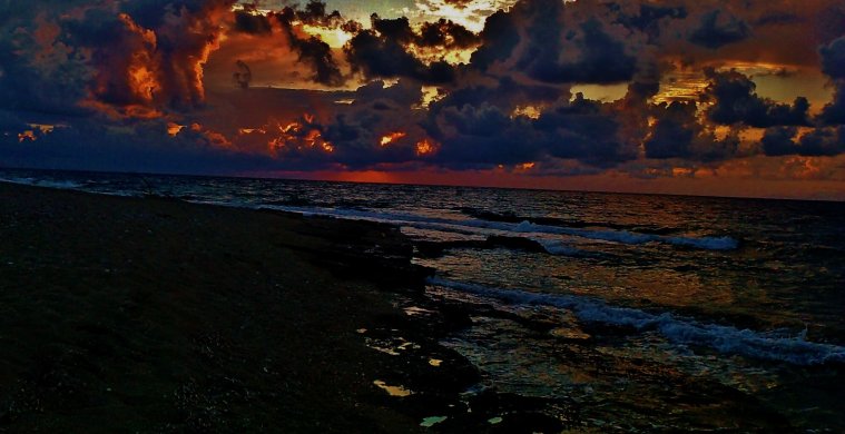 athens voice readers, greece