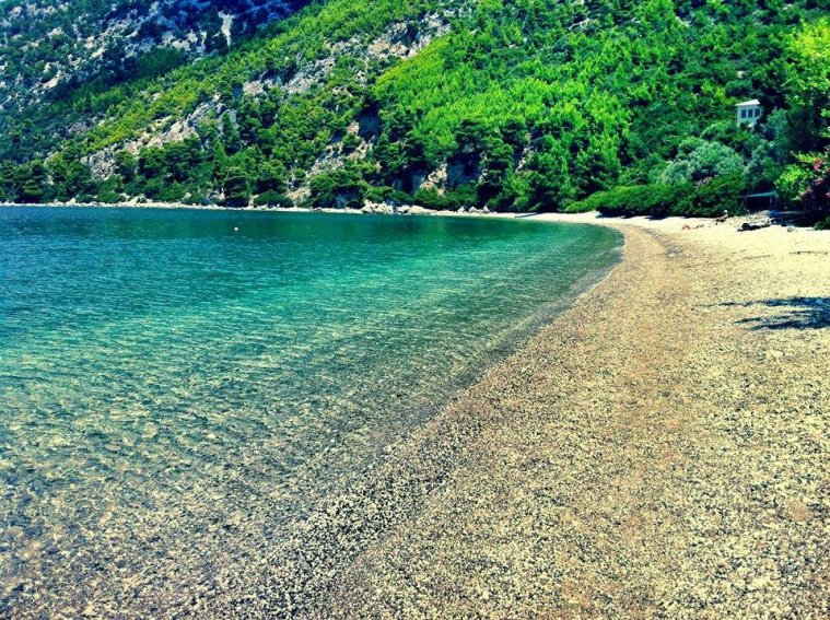 athens voice readers, greece