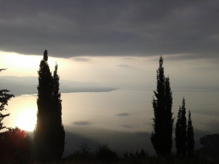 athens voice readers, greece