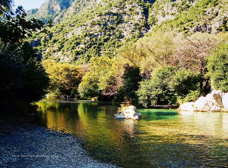athens voice readers, greece