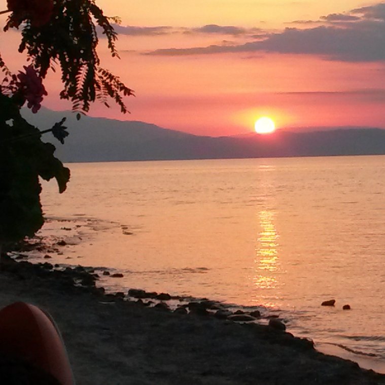 athens voice readers, greece