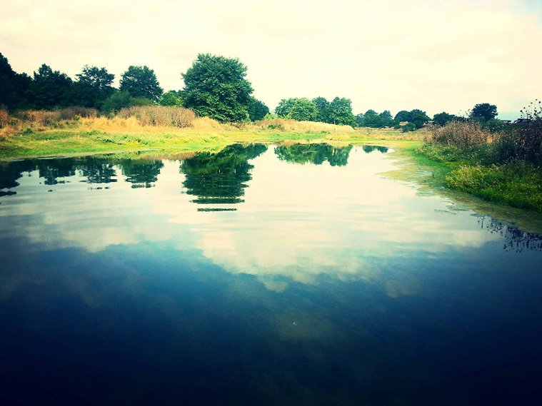 athens voice readers, greece
