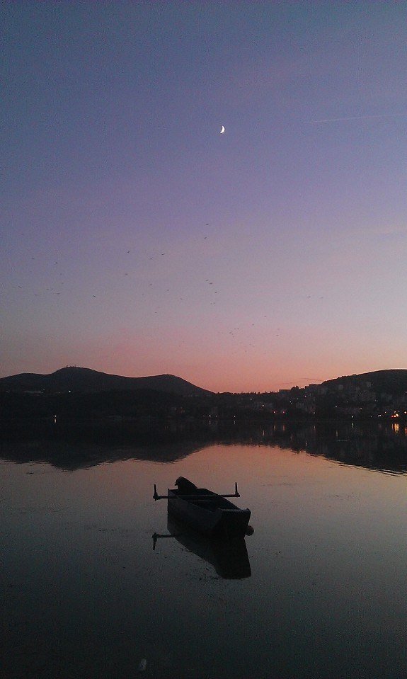 athens voice readers, greece