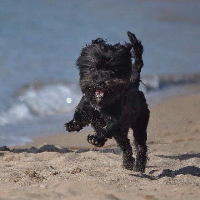 Insta#athensvoice Insta#athensvoice