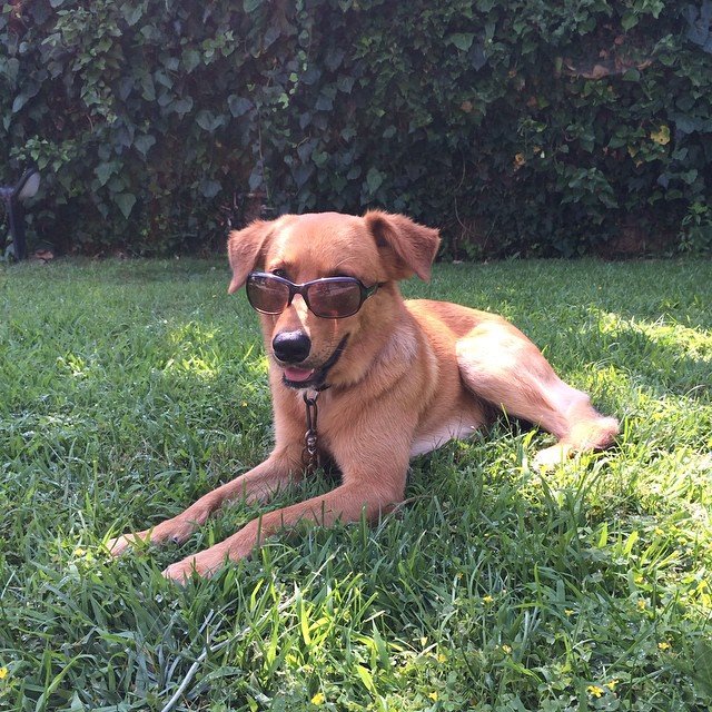 @anastasios87 @anastasios87