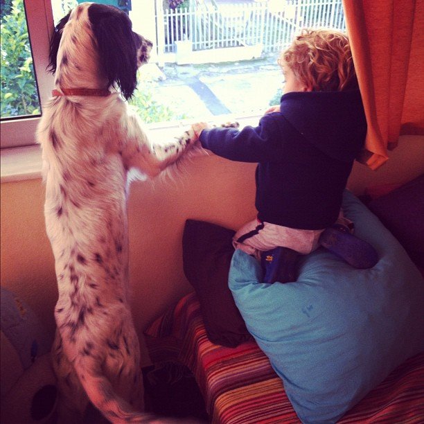 despoinab @despoinab despoinab @despoinab