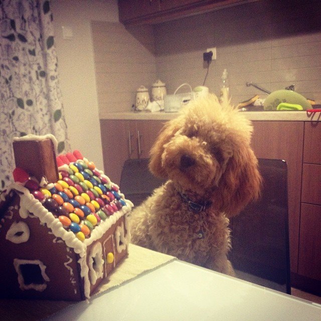 Chryssa Argyriou @hryssa_argyriou Chryssa Argyriou @hryssa_argyriou