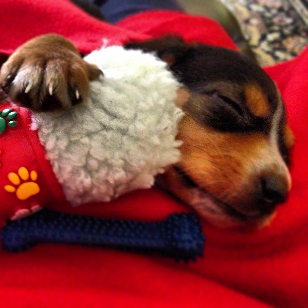 marilllou @marilllou marilllou @marilllou