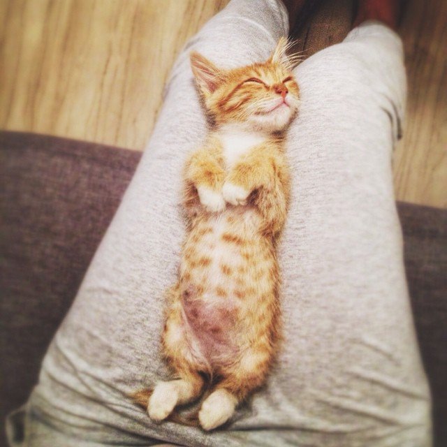 Daria Daria @dari_uss Daria Daria @dari_uss