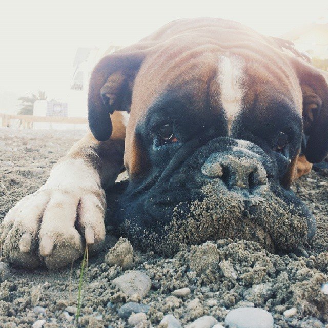 Σου @nona_moo Σου @nona_moo