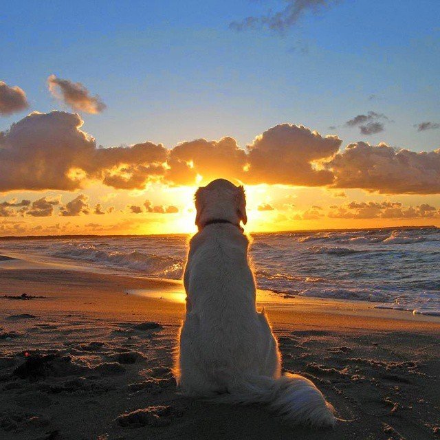 Virginiper @virginiaperdikari Virginiper @virginiaperdikari