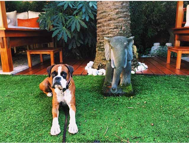 Iris Koumousi @iriskoum_ •luna Iris Koumousi @iriskoum_ •luna