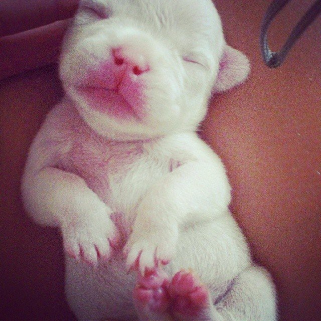 Mariah @grigoriadismariah Mariah @grigoriadismariah