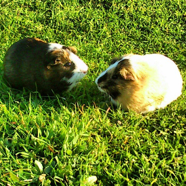 Despoina P @despoinapap Despoina P @despoinapap