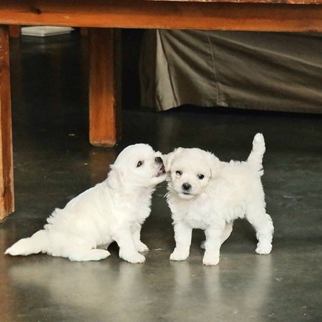 Mirto Yiannakaki @mirtoyiann Mirto Yiannakaki @mirtoyiann