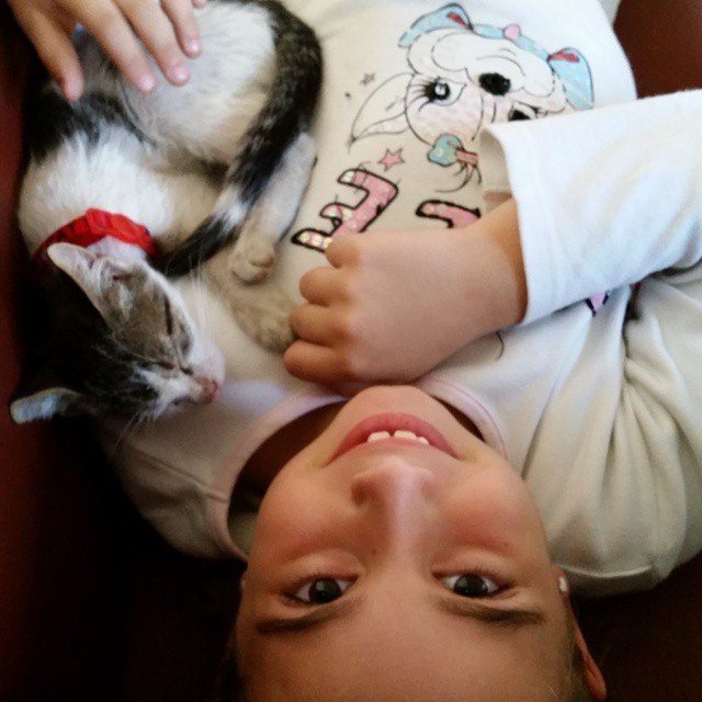 Giannis Tsiadis @giannis_t Giannis Tsiadis @giannis_t