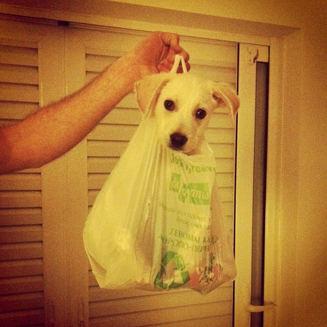 Sofia Mitraki @coco.chico Sofia Mitraki @coco.chico