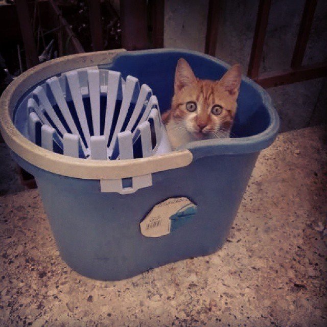 Anastasia Mang @anastasiamang Anastasia Mang @anastasiamang